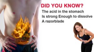 How-strong-is-the-acid-in-stomach-copy